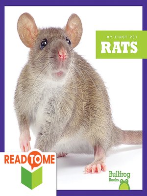 cover image of Rats